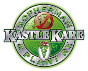 kastle-kare-logo-nobg