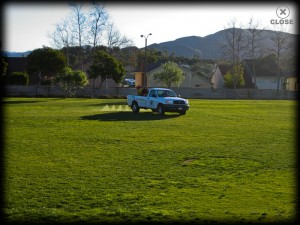 lawn-weeds-spraying-lg