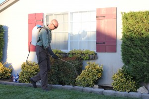 Exterior Pest Control Spraying