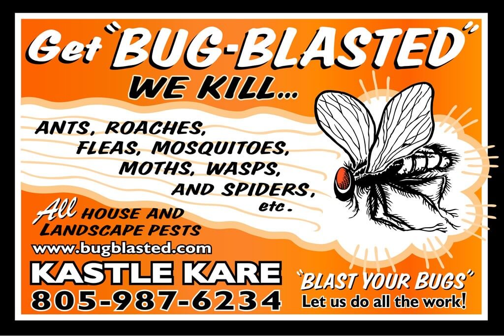 Get bug blasted & kill ants, roaches, fleas, mosquitos, wasps, spiders and more. 