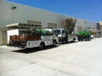 camarillo pest control