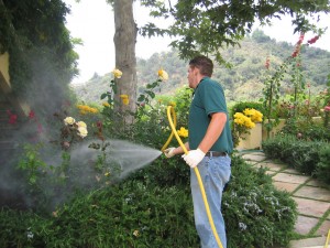 malibu, pest control, plant, pests, plant diseases, insects, exterminator