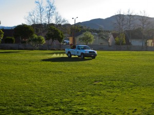 Lawn Weed Control, at local school in Camarillo, CA